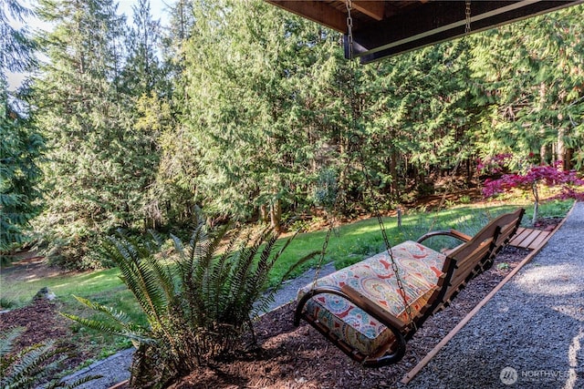 251 Saddle Dr, Port Townsend, WA 98368 - view of grassy yard