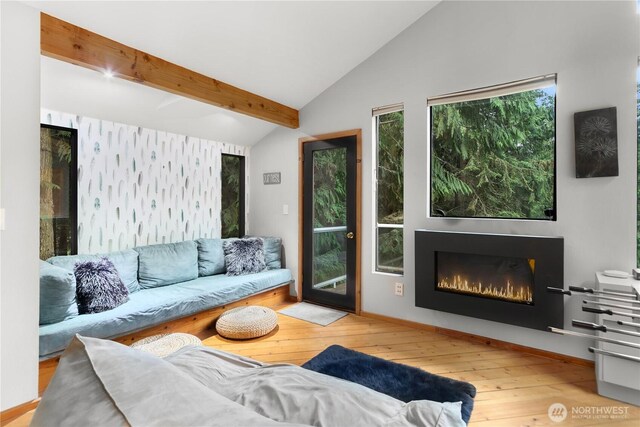 251 Saddle Dr, Port Townsend, WA 98368 - living area featuring hardwood / wood-style floors and a glass covered fireplace
