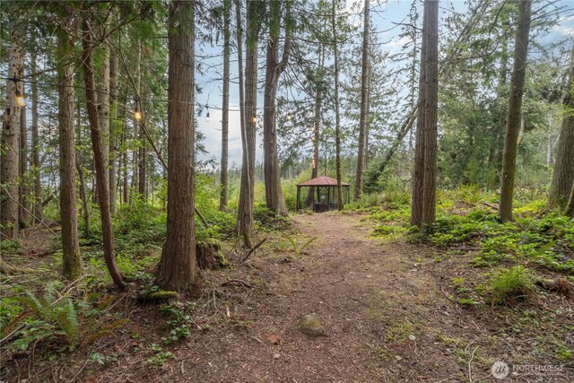 251 Saddle Dr, Port Townsend, WA 98368 - view of undeveloped land