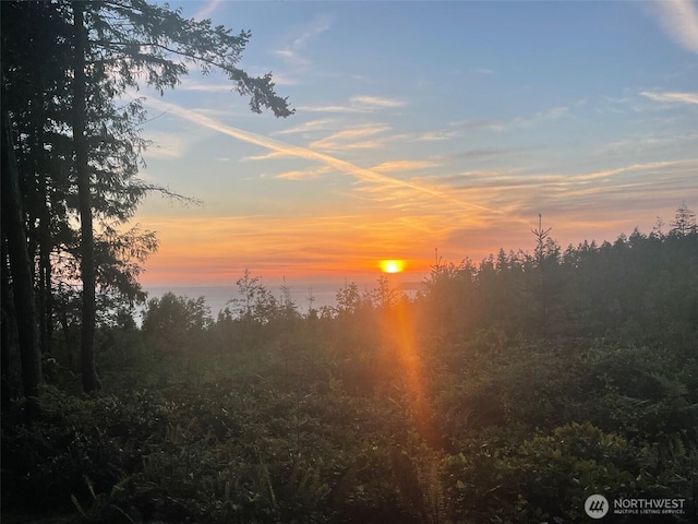 251 Saddle Dr, Port Townsend, WA 98368 - nature at dusk with a wooded view