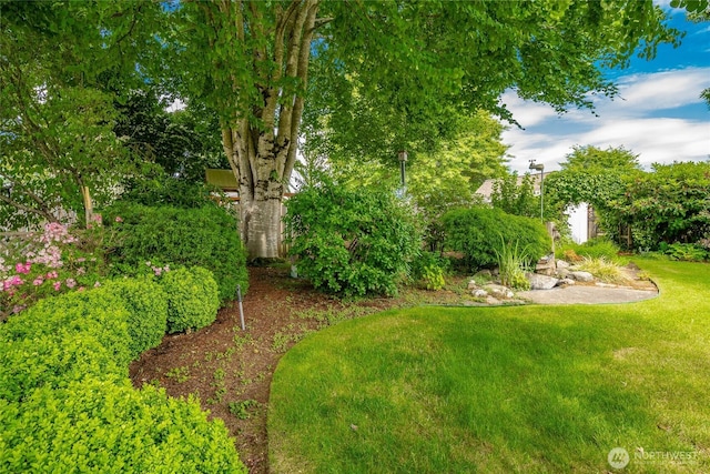 1021 Garden Dr, Lynden, WA 98264 - view of grassy yard