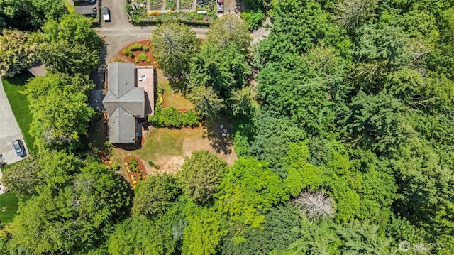 12170 Viewcrest Pl NE, Bainbridge Island, WA 98110 - drone / aerial view