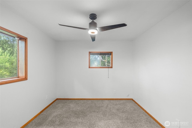 230 E Stavis Rd, Shelton, WA 98584 - photo 15