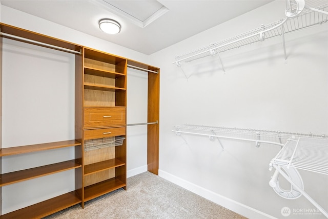 14808 172nd St E, Orting, WA 98360 - walk in closet with carpet floors