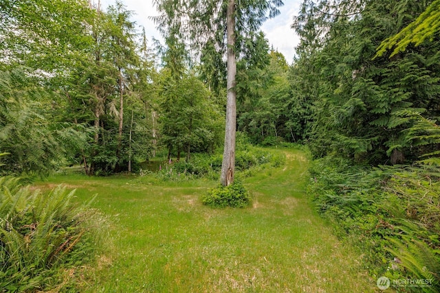 24015 Foxglove Ln, Mount Vernon, WA 98274 - photo 26