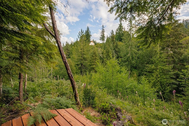 24015 Foxglove Ln, Mount Vernon, WA 98274 - photo 32