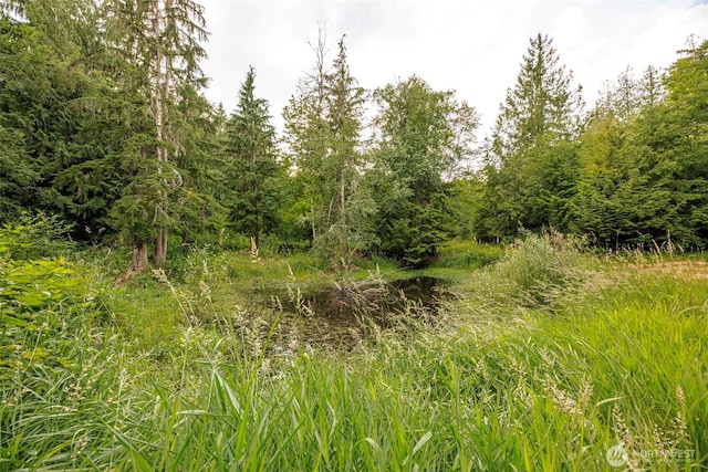 24015 Foxglove Ln, Mount Vernon, WA 98274 - photo 28