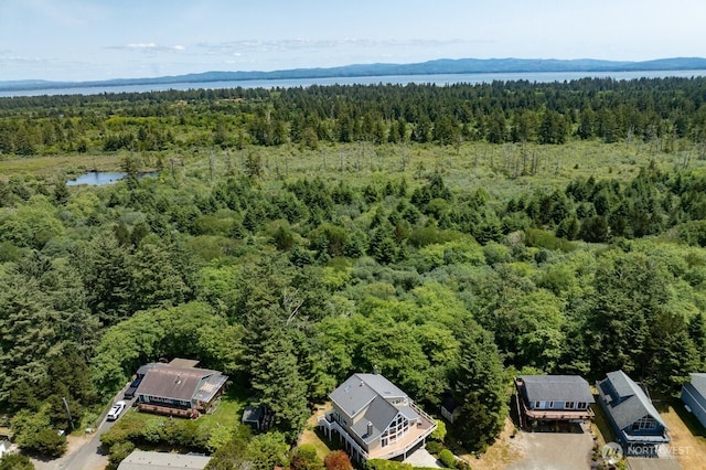 33704 J Pl, Ocean Park, WA 98640 - photo 39