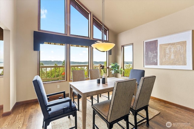 10300 64th Pl W, Mukilteo, WA 98275 - dining space featuring healthy amount of natural light and wood finished floors
