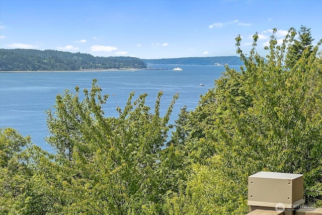 10300 64th Pl W, Mukilteo, WA 98275 - water view featuring a heavily wooded area