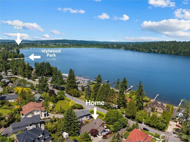 3089 W Lake Sammamish Pkwy NE, Redmond, WA 98052 - aerial view of residential area with a large body of water