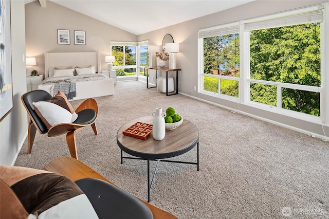 3089 W Lake Sammamish Pkwy NE, Redmond, WA 98052 - carpeted bedroom with lofted ceiling and baseboards