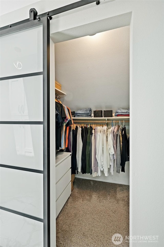 3089 W Lake Sammamish Pkwy NE, Redmond, WA 98052 - walk in closet featuring carpet floors