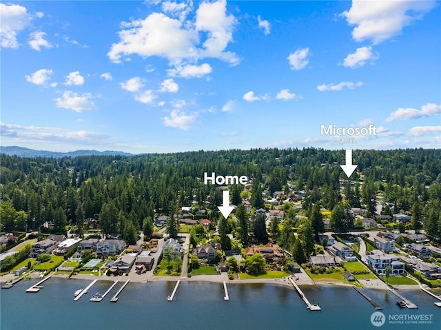 3089 W Lake Sammamish Pkwy NE, Redmond, WA 98052 - aerial perspective of suburban area featuring a water and mountain view