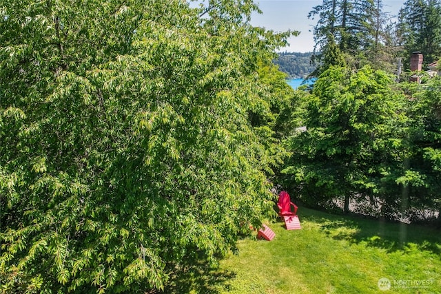 3089 W Lake Sammamish Pkwy NE, Redmond, WA 98052 - view of green lawn featuring a water view