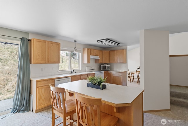1003 Chatham Dr SE, Olympia, WA 98513 - photo 14