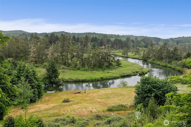 1508 Bloomhardt Rd, Raymond, WA 98577 - water view featuring a forest