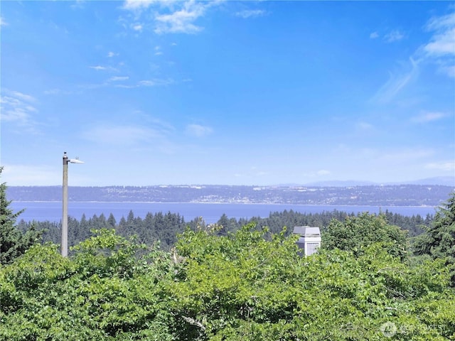 5609 Orca Dr NE, Tacoma, WA 98422 - photo 5