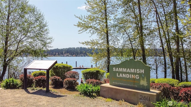 1312 211th Ave NE, Sammamish, WA 98074 - photo 38
