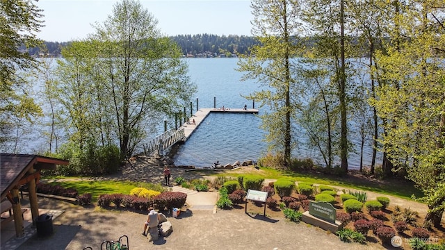 1312 211th Ave NE, Sammamish, WA 98074 - photo 39