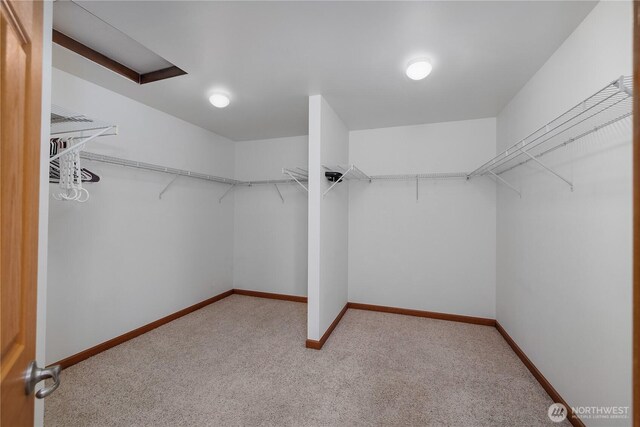 516 Emerald Ct SE, Rainier, WA 98576 - walk in closet with carpet floors