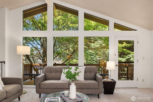 13919 SE 3rd Pl, Bellevue, WA 98005 - living area featuring lofted ceiling, carpet, and plenty of natural light