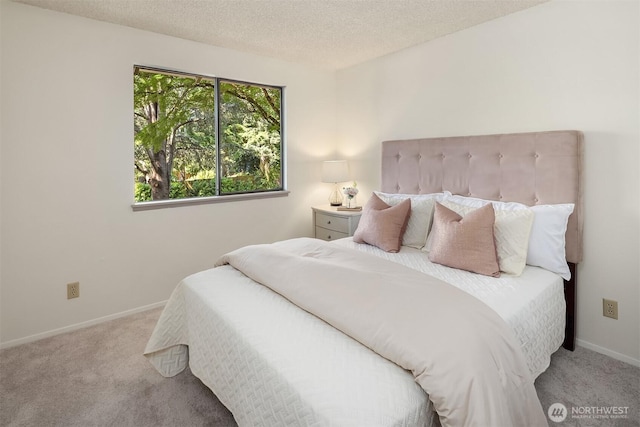 13919 SE 3rd Pl, Bellevue, WA 98005 - bedroom with carpet and a textured ceiling
