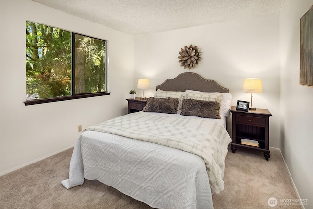 13919 SE 3rd Pl, Bellevue, WA 98005 - bedroom with carpet flooring and a textured ceiling