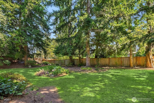 13919 SE 3rd Pl, Bellevue, WA 98005 - view of yard