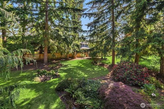13919 SE 3rd Pl, Bellevue, WA 98005 - view of yard