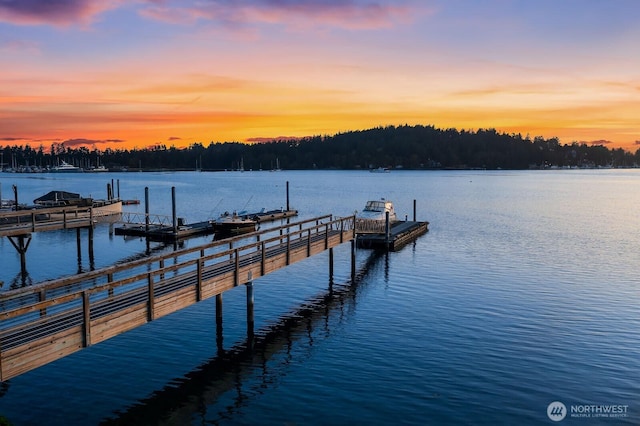 55 Myers Rd, Friday Harbor, WA 98250 - photo 40