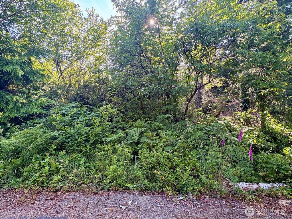 285XX Z St, Ocean Park, WA 98640 - photo 1