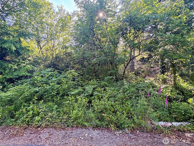 285XX Z St, Ocean Park, WA 98640 - photo 1