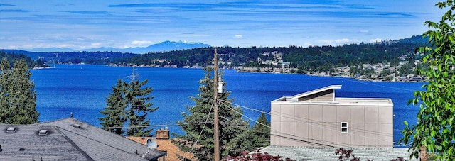 11017 Forest Ave S, Seattle, WA 98178 - water view featuring a mountain backdrop
