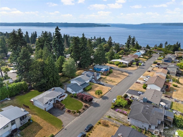 29929 4th Ave SW, Federal Way, WA 98023 - aerial perspective of suburban area with a large body of water