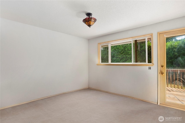 29929 4th Ave SW, Federal Way, WA 98023 - carpeted empty room with a textured ceiling