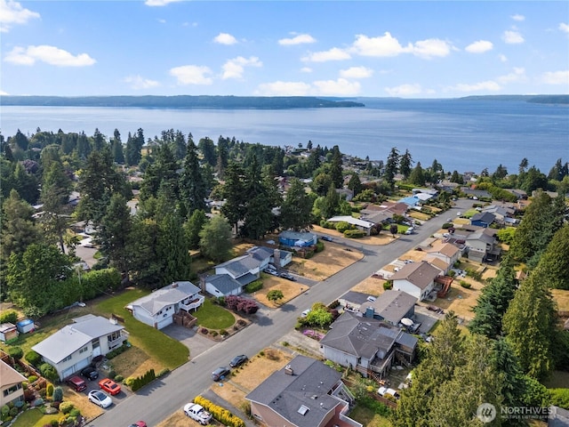29929 4th Ave SW, Federal Way, WA 98023 - aerial perspective of suburban area with a large body of water