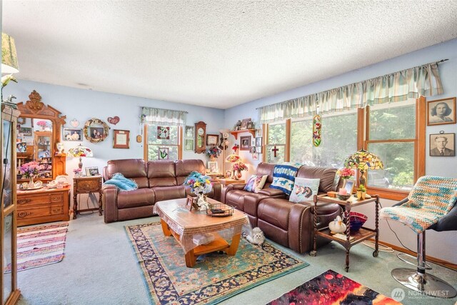 16207 309th Ave NE, Duvall, WA 98019 - photo 10