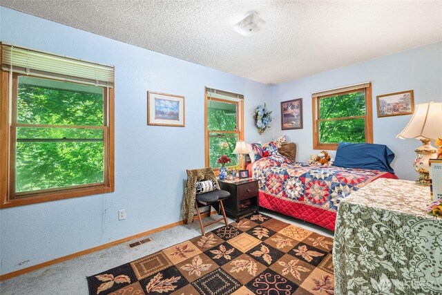 16207 309th Ave NE, Duvall, WA 98019 - photo 14