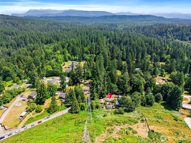 16207 309th Ave NE, Duvall, WA 98019 - photo 34