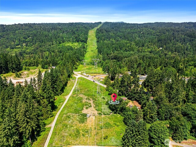 16207 309th Ave NE, Duvall, WA 98019 - photo 35