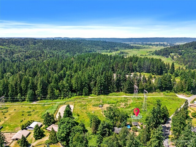 16207 309th Ave NE, Duvall, WA 98019 - photo 36