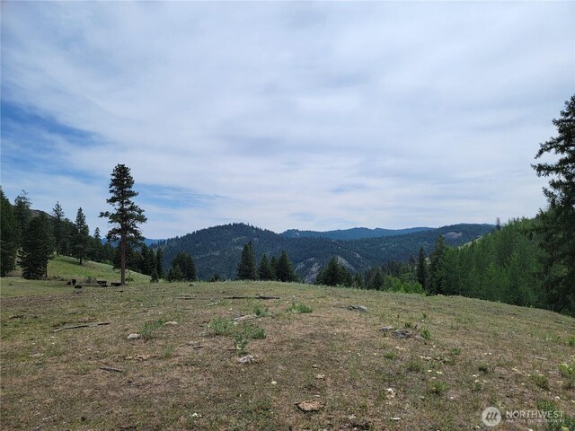 466 Sqove Rd, Wauconda, WA 98859 - view of mountain background featuring rural landscape