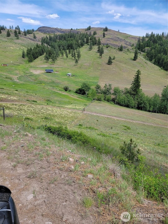 466 Sqove Rd, Wauconda, WA 98859 - view of mountain background with rural landscape