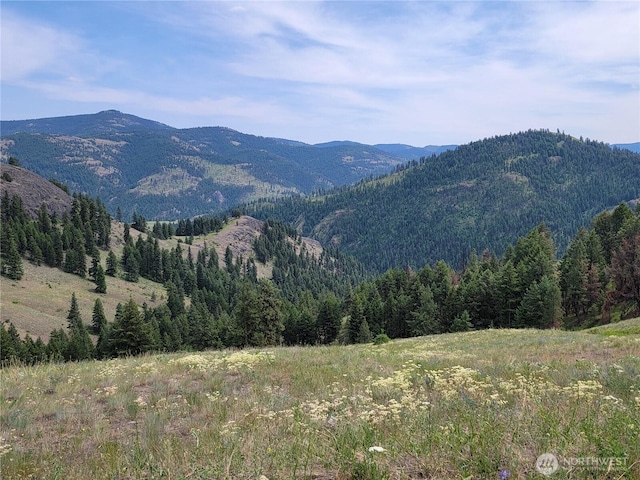 466 Sqove Rd, Wauconda, WA 98859 - mountain view featuring a heavily wooded area