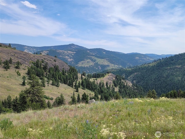 466 Sqove Rd, Wauconda, WA 98859 - mountain view