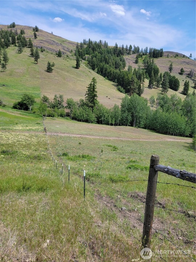 466 Sqove Rd, Wauconda, WA 98859 - view of mountain backdrop with rural landscape