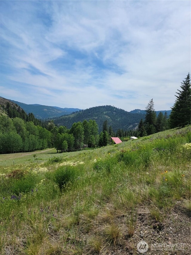 466 Sqove Rd, Wauconda, WA 98859 - mountain view with rural landscape and a heavily wooded area