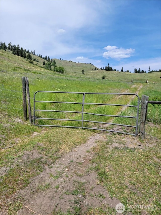 466 Sqove Rd, Wauconda, WA 98859 - gate with a view of countryside