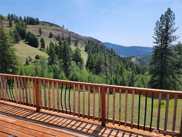 466 Sqove Rd, Wauconda, WA 98859 - view of mountain background with a forest
